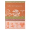 Mushroom (Champignon) French Jacquard Dish Towel By Coucke -Kitchen Textiles coucke french kitchen towel jacquard mushroom champignon sq